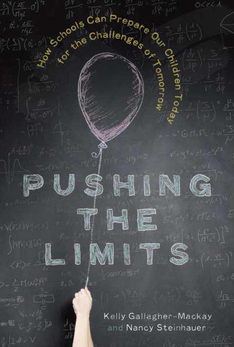 Cover image for book Pushing the Limits