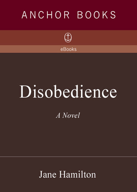 Cover image for book Disobedience