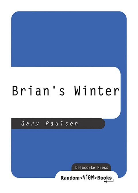 Cover image for book Brian's Winter
