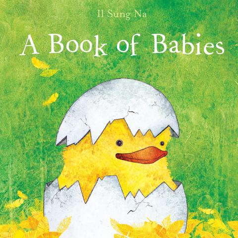 Cover image for book A Book of Babies