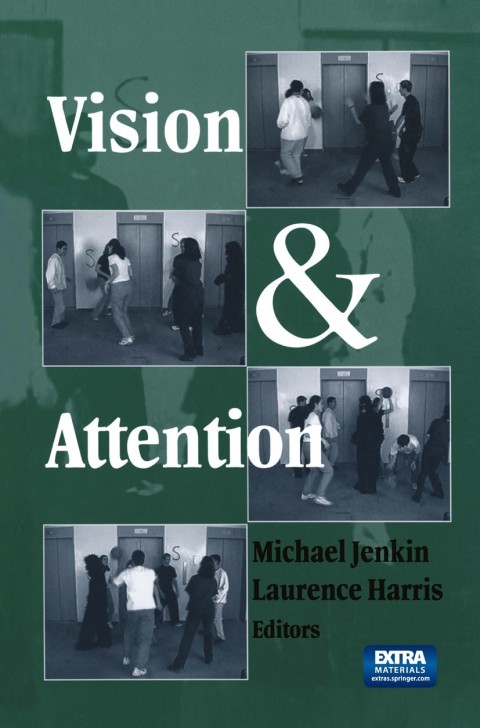 Vision and Attention 