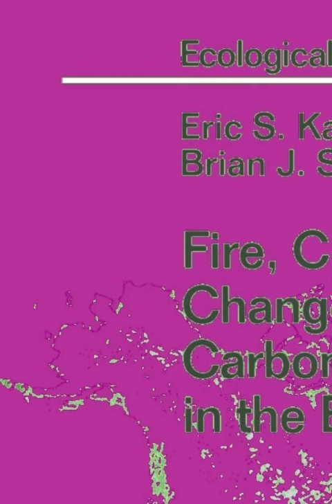 Cover image for book Fire, Climate Change, and Carbon Cycling in the Boreal Forest
