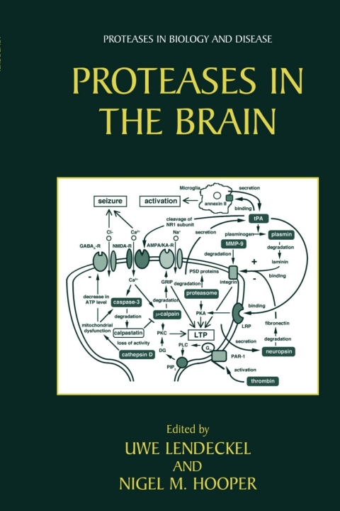 Cover image for book Proteases in the Brain