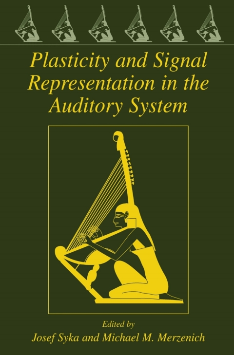 Cover image for book Plasticity and Signal Representation in the Auditory System