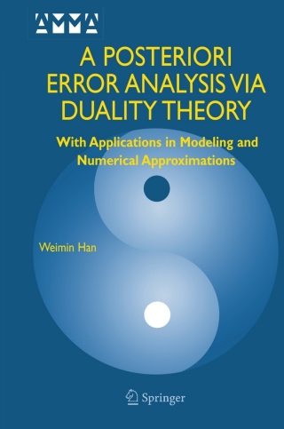 A Posteriori Error Analysis Via Duality Theory