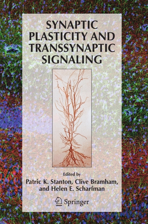Cover image for book Synaptic Plasticity and Transsynaptic Signaling