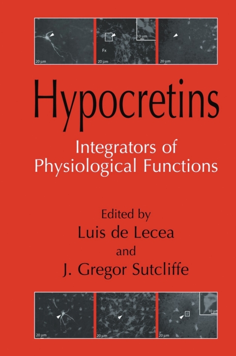Cover image for book Hypocretins