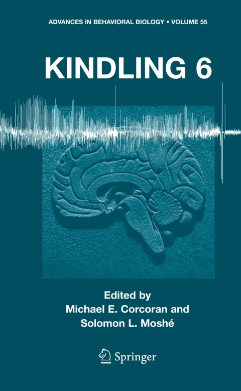 Cover image for book Kindling 6