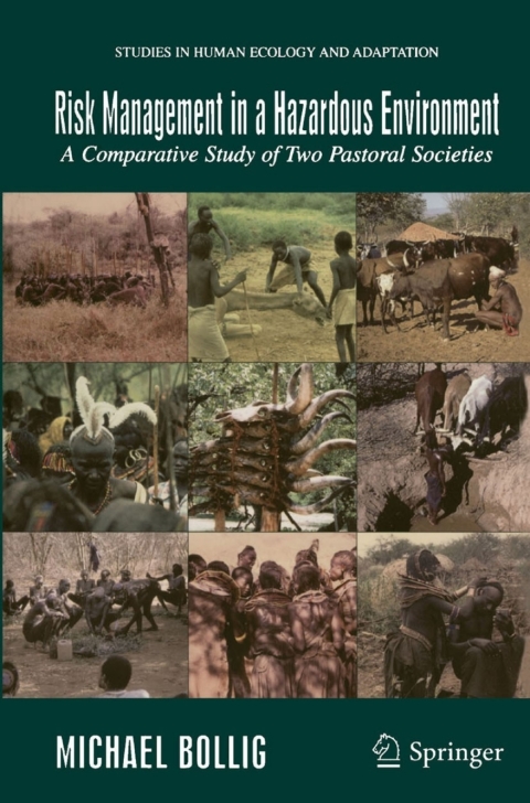 Cover image for book Risk Management in a Hazardous Environment