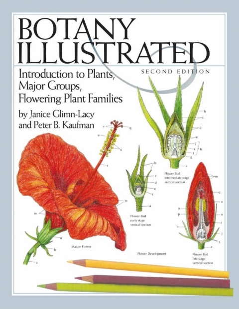 Cover image for book Botany Illustrated