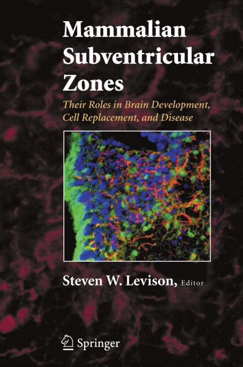Cover image for book Mammalian Subventricular Zones
