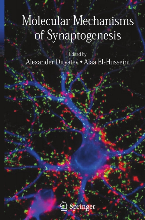 Cover image for book Molecular Mechanisms of Synaptogenesis