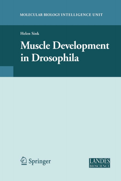 Cover image for book Muscle Development in Drosophilia