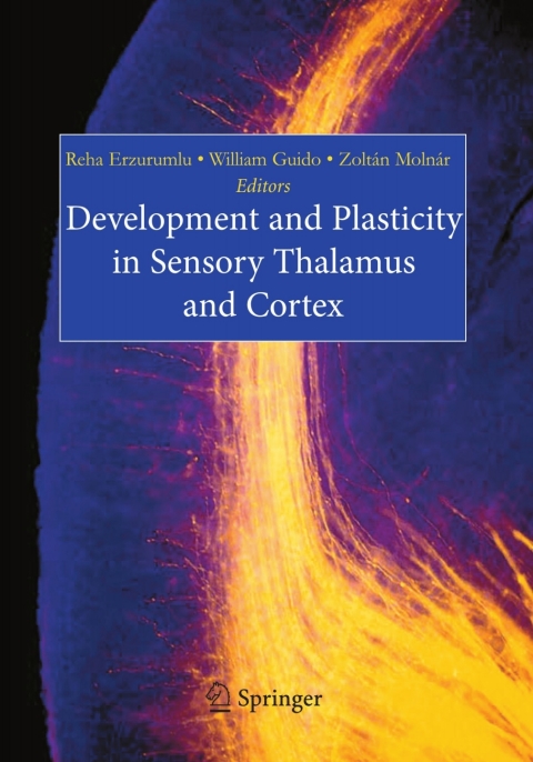 Cover image for book Development and Plasticity in Sensory Thalamus and Cortex
