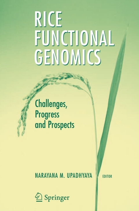 Cover image for book Rice Functional Genomics