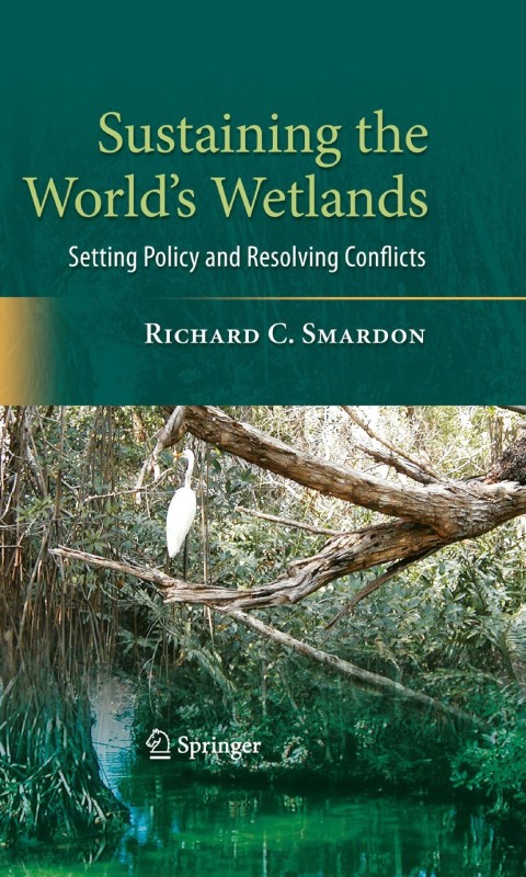 Cover image for book Sustaining the World's Wetlands