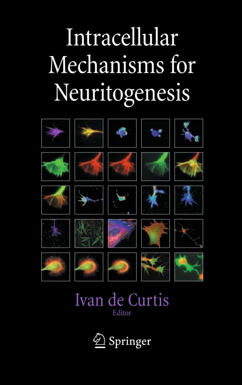 Cover image for book Intracellular Mechanisms for Neuritogenesis