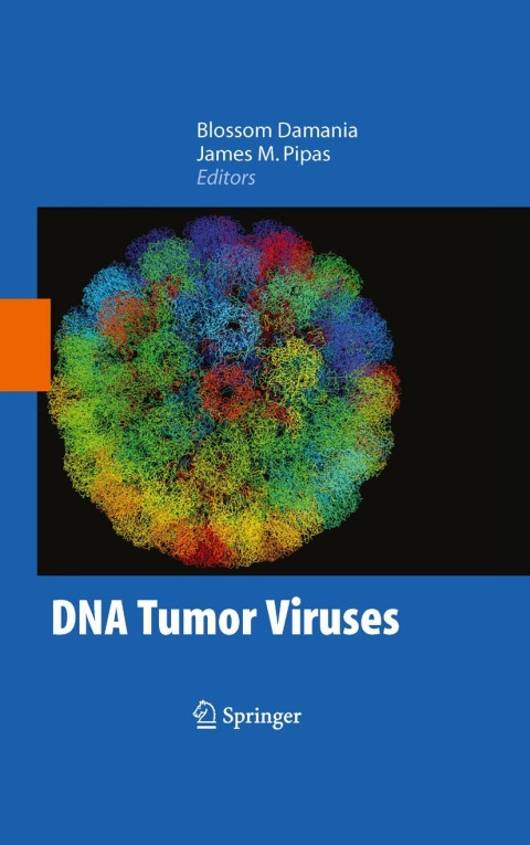 Cover image for book DNA Tumor Viruses