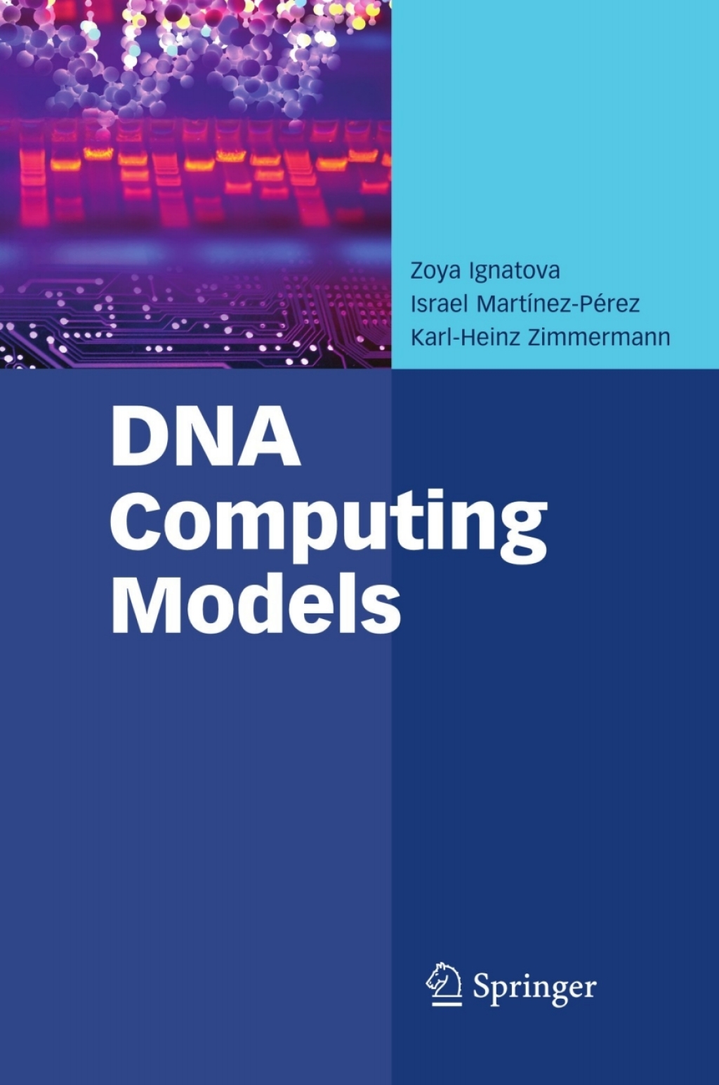 DNA Computing Models (eBook)