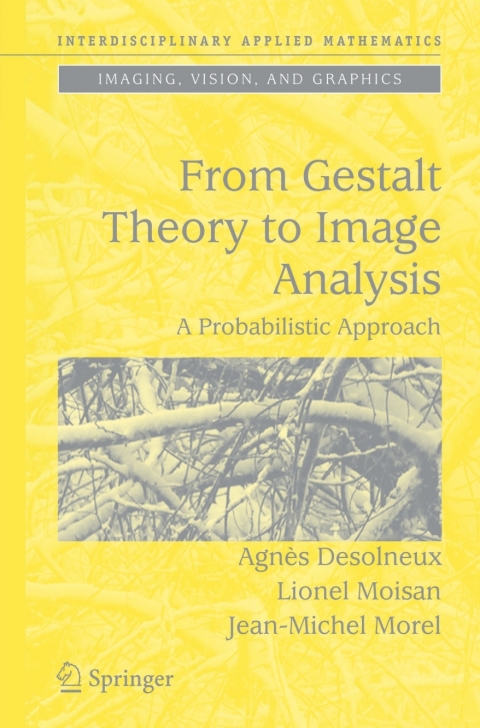 Cover image for book From Gestalt Theory to Image Analysis