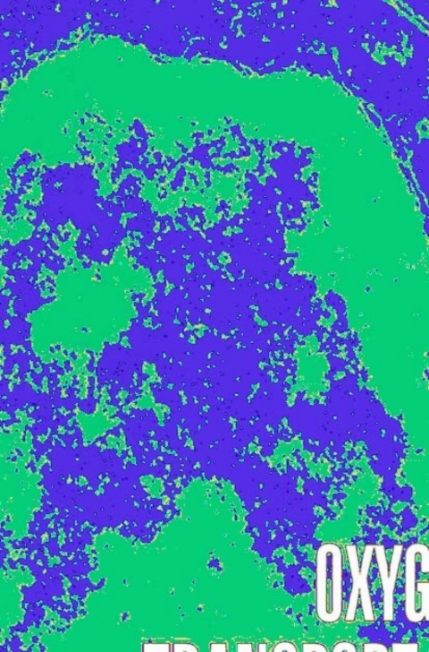 Cover image for book Oxygen Transport to Tissue XXIX