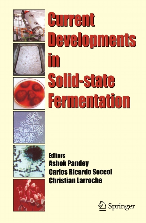 Current Developments in Solid-state Fermentation 