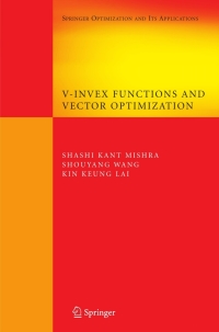 Titelbild: V-Invex Functions and Vector Optimization 9780387754451