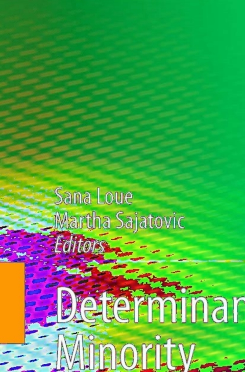 Cover image for book Determinants of Minority Mental Health and Wellness