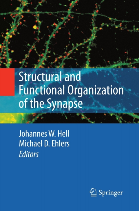 Cover image for book Structural and Functional Organization of the Synapse