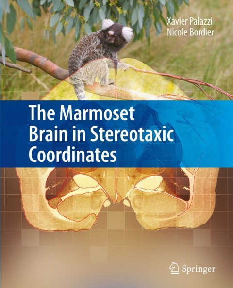 Cover image for book The Marmoset Brain in Stereotaxic Coordinates