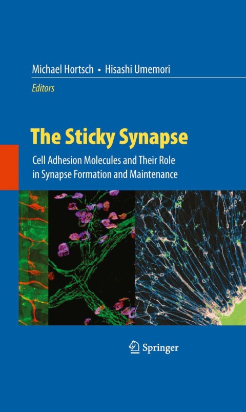 Cover image for book The Sticky Synapse