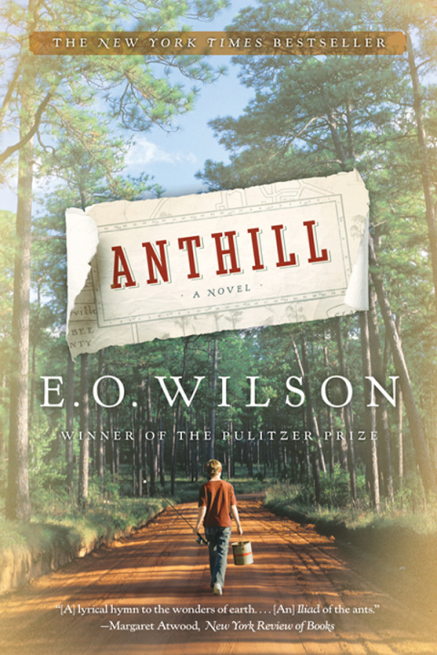 Cover image for book Anthill