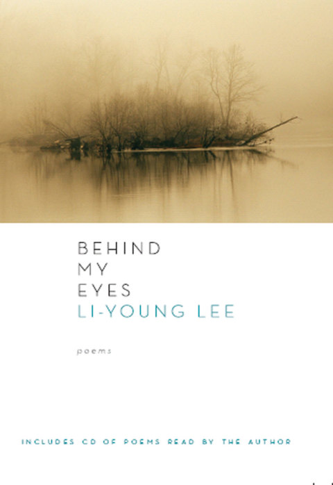 Cover image for book Behind My Eyes