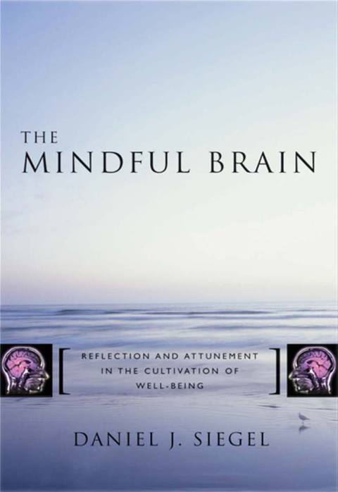 Cover image for book The Mindful Brain