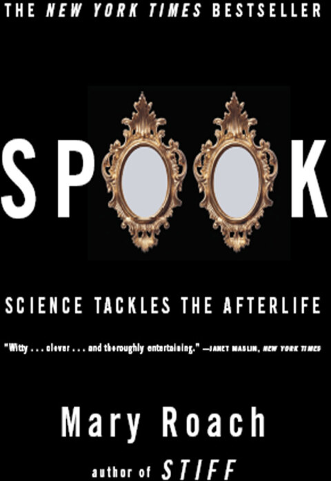 Cover image for book Spook
