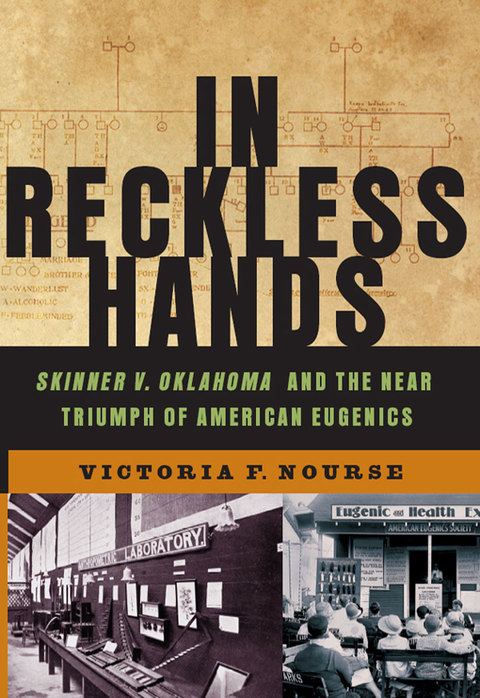 Cover image for book In Reckless Hands