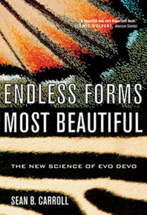 Cover image for book Endless Forms Most Beautiful