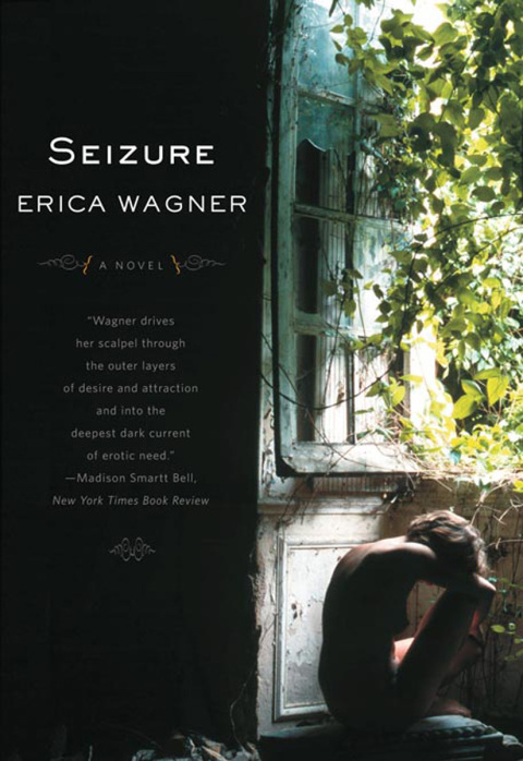 Cover image for book Seizure