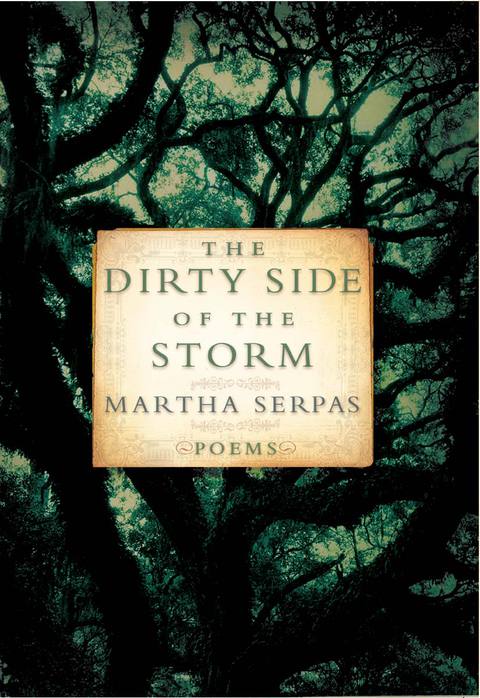 Cover image for book The Dirty Side of the Storm