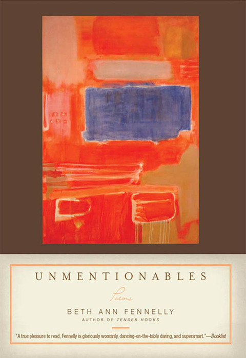 Cover image for book Unmentionables