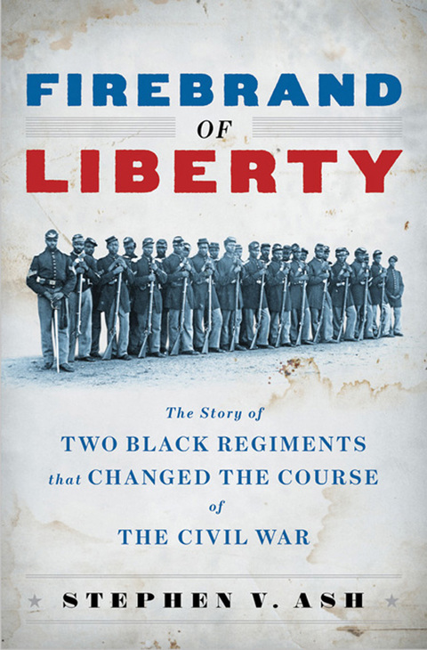 Cover image for book Firebrand of Liberty