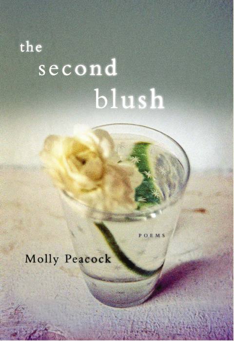 Cover image for book The Second Blush