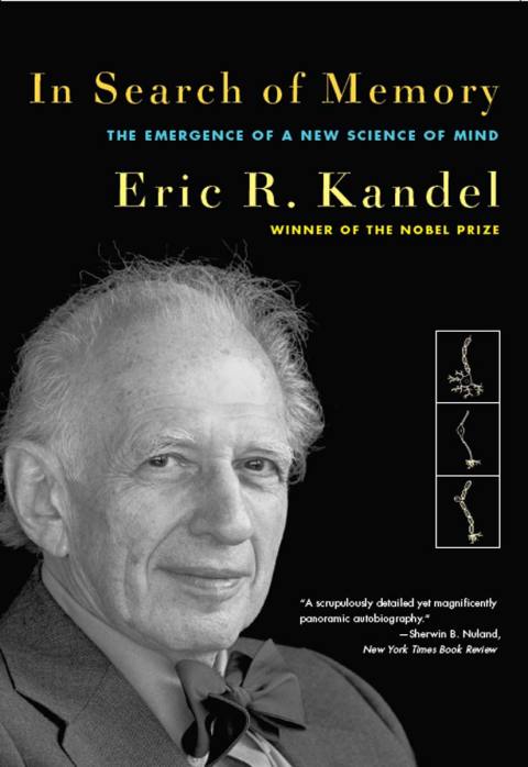 Cover image for book In Search of Memory