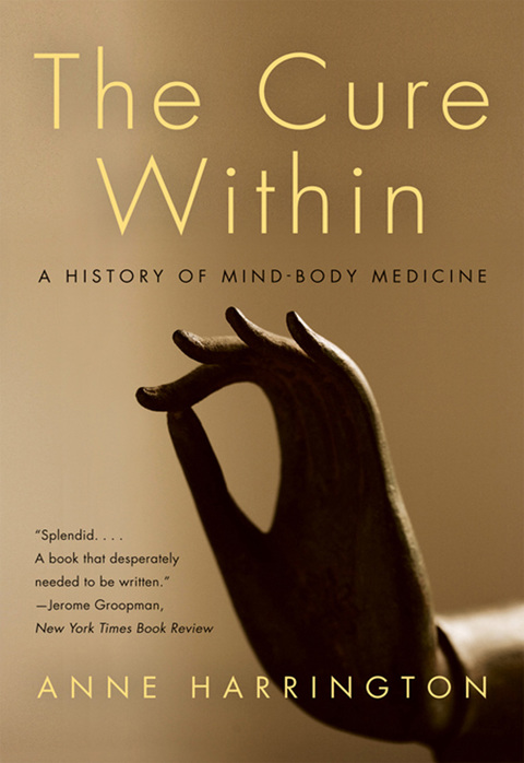Cover image for book The Cure Within