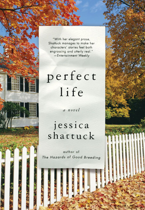 Cover image for book Perfect Life