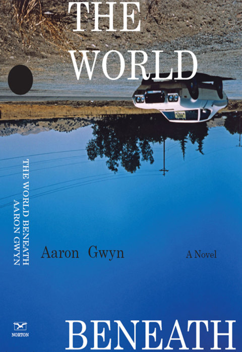Cover image for book The World Beneath