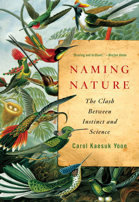 Cover image for book Naming Nature