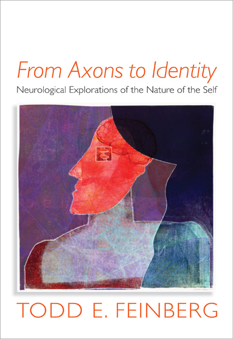 Cover image for book From Axons to Identity