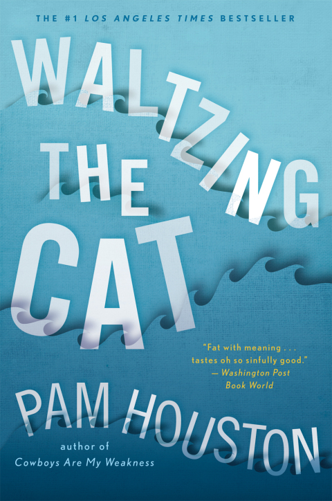 Cover image for book Waltzing the Cat