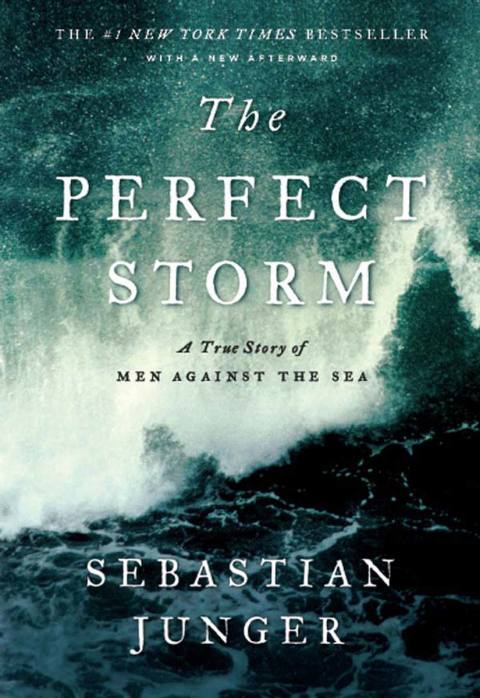 Cover image for book The Perfect Storm